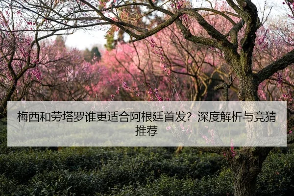梅西和劳塔罗谁更适合阿根廷首发？深度解析与竞猜推荐